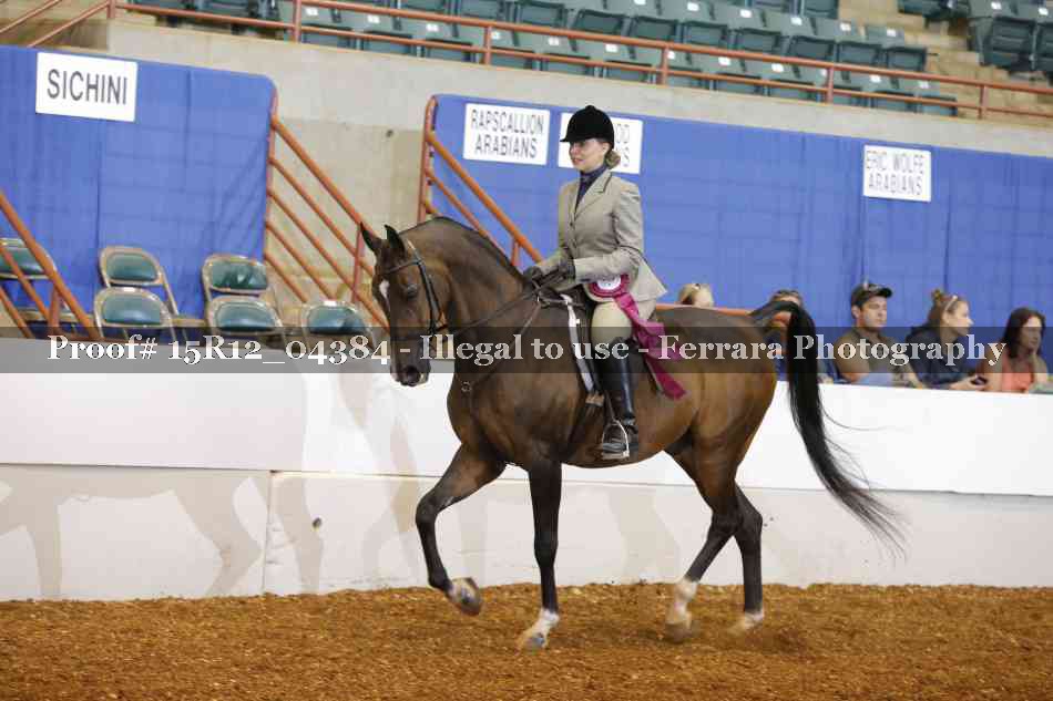 Proof Number 15R12_04384