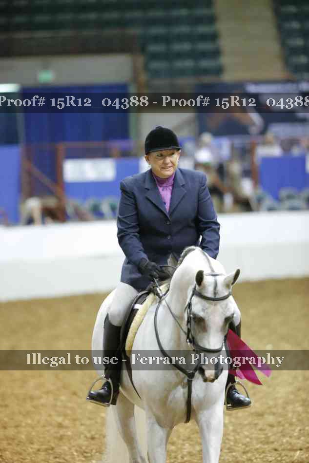 Proof Number 15R12_04388