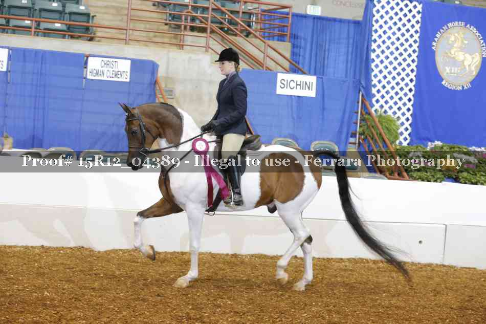 Proof Number 15R12_04389