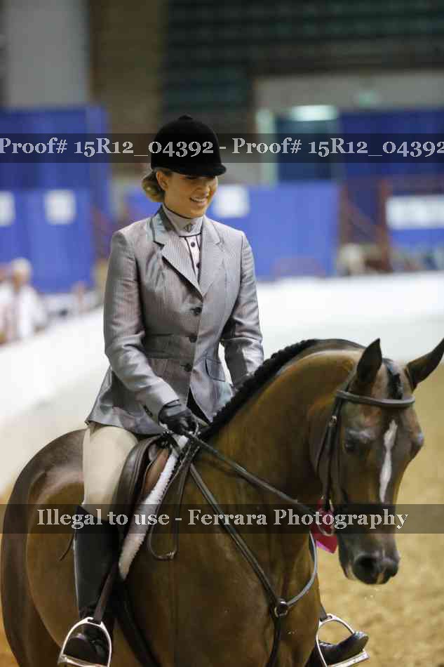Proof Number 15R12_04392