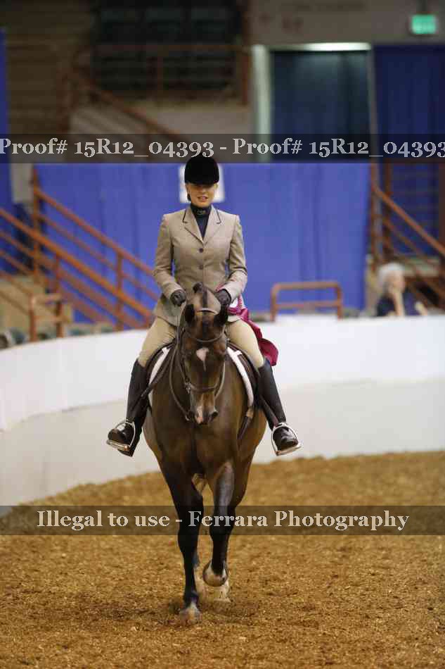 Proof Number 15R12_04393