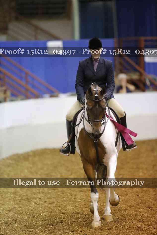 Proof Number 15R12_04397