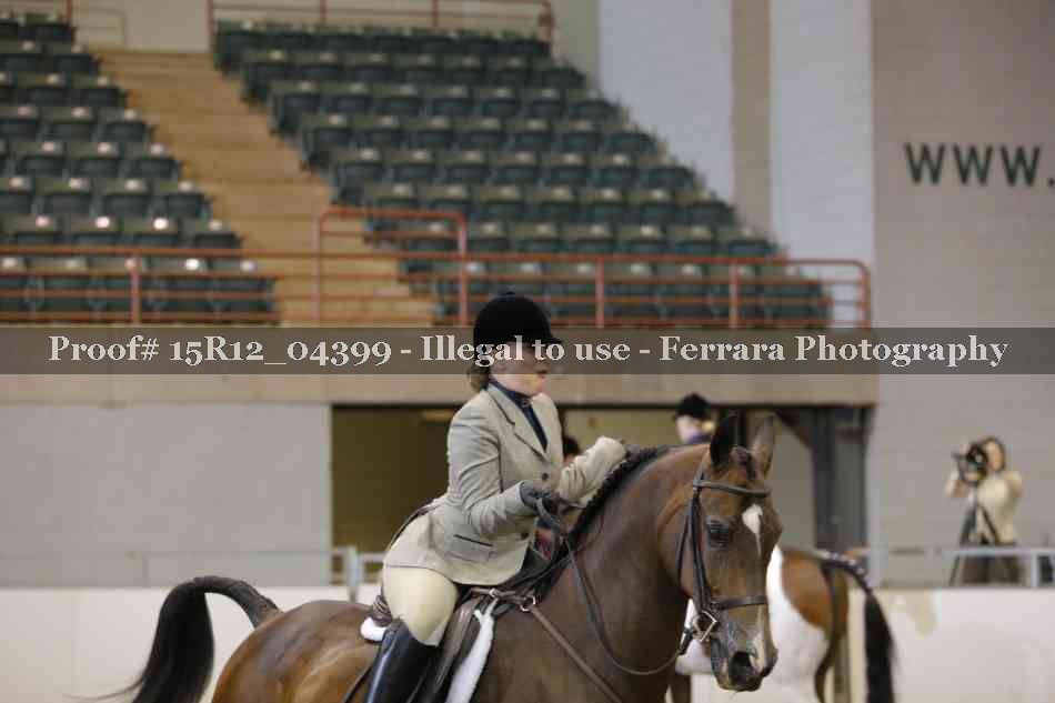 Proof Number 15R12_04399
