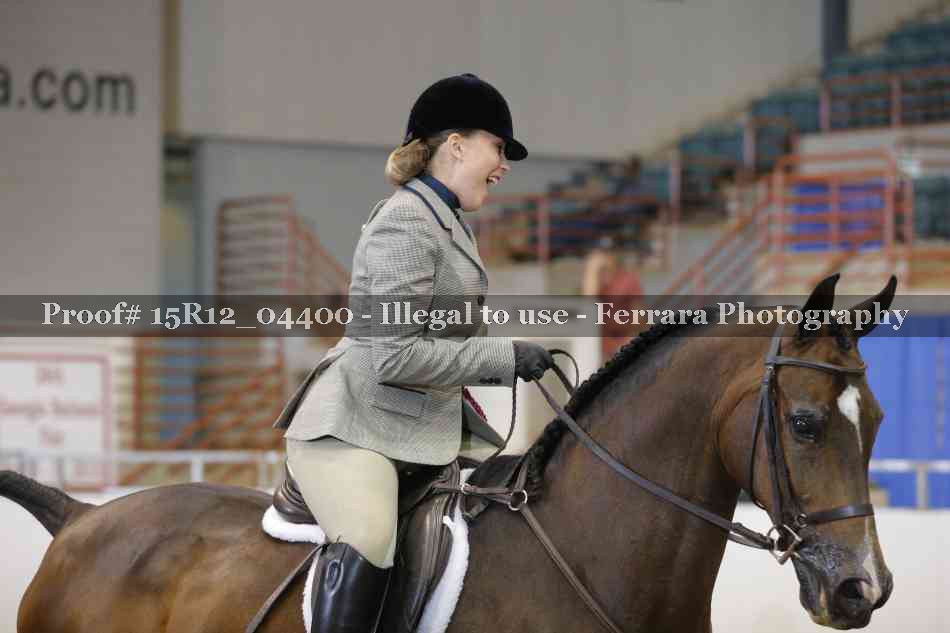 Proof Number 15R12_04400