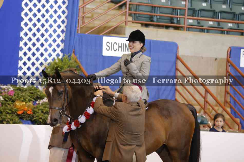 Proof Number 15R12_04403