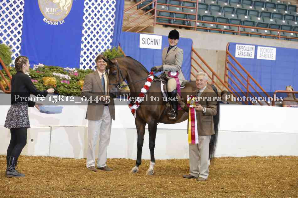 Proof Number 15R12_04405