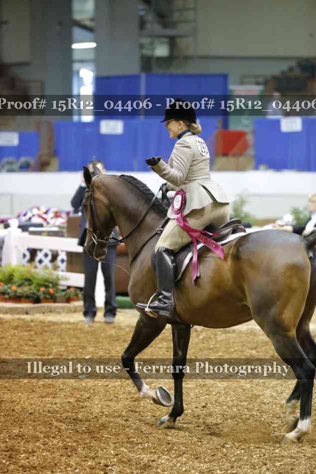 Proof Number 15R12_04406