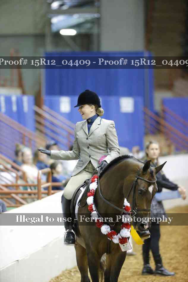 Proof Number 15R12_04409