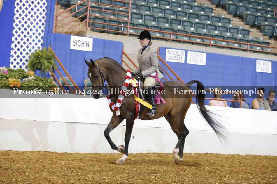Proof Number 15R12_04424