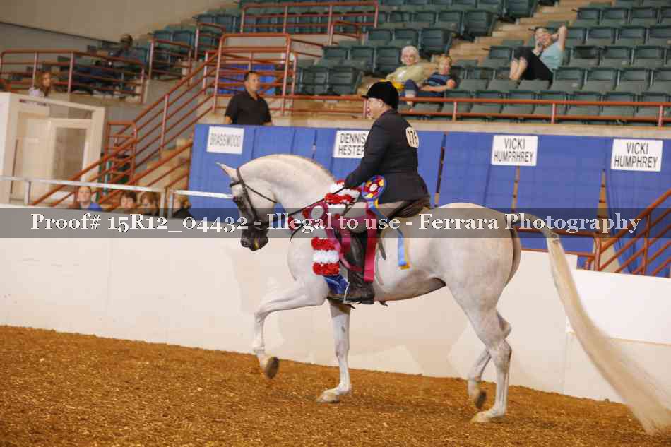 Proof Number 15R12_04432
