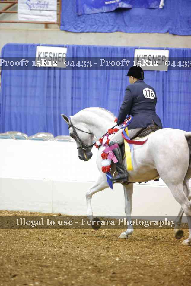 Proof Number 15R12_04433