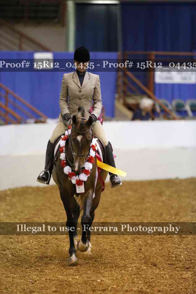 Proof Number 15R12_04435