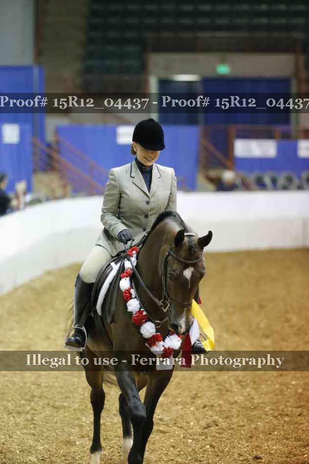 Proof Number 15R12_04437