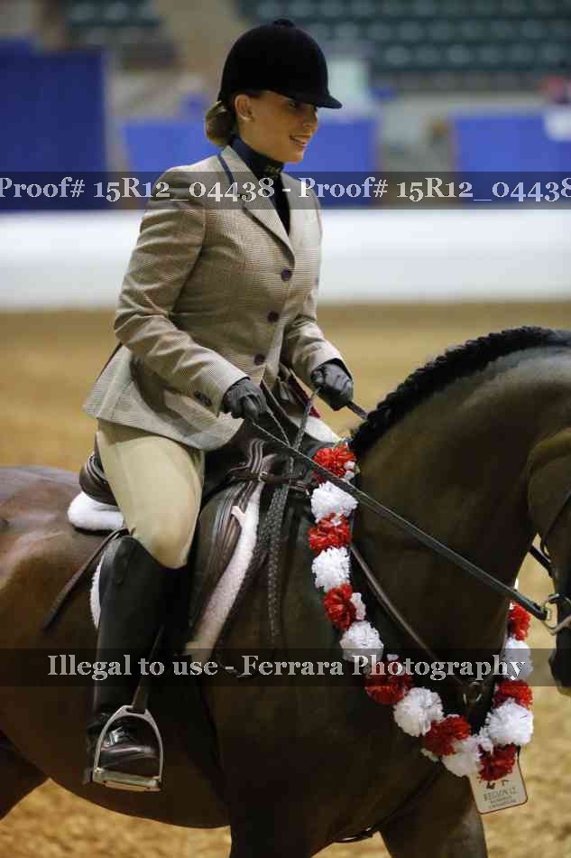 Proof Number 15R12_04438