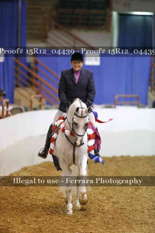 Proof Number 15R12_04439