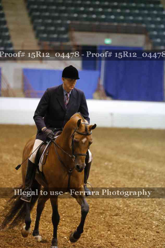 Proof Number 15R12_04478