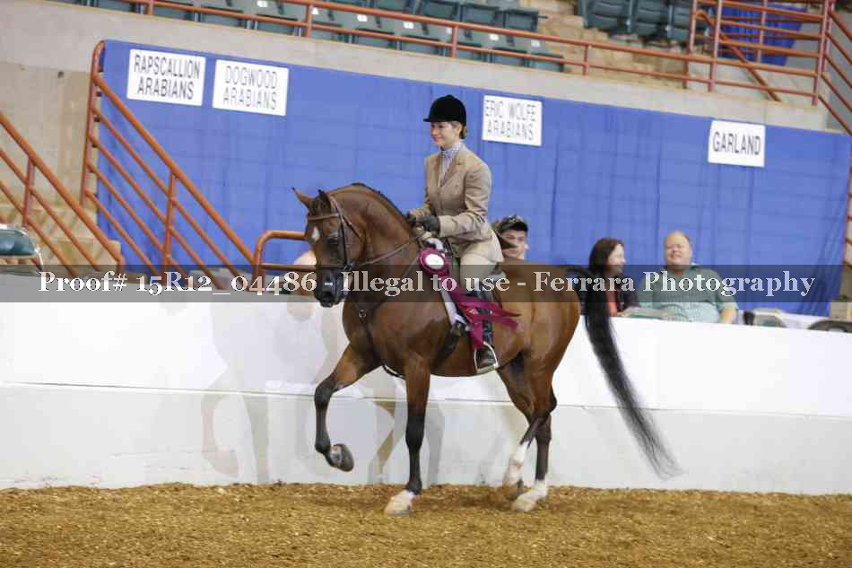 Proof Number 15R12_04486