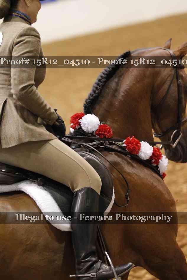 Proof Number 15R12_04510