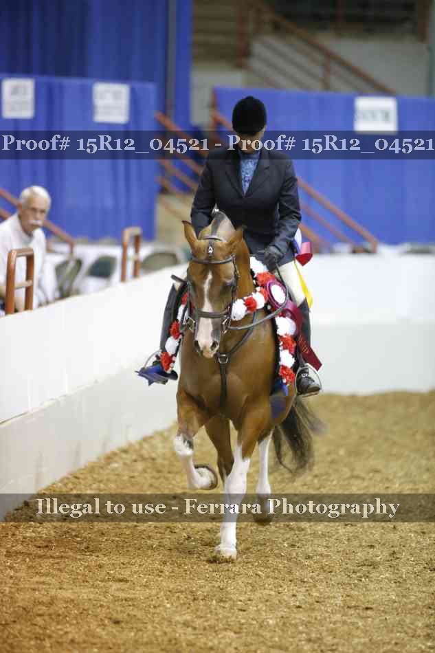 Proof Number 15R12_04521