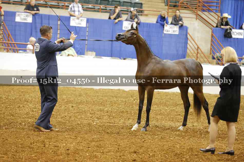 Proof Number 15R12_04556