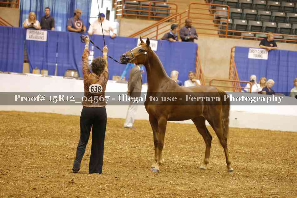 Proof Number 15R12_04567