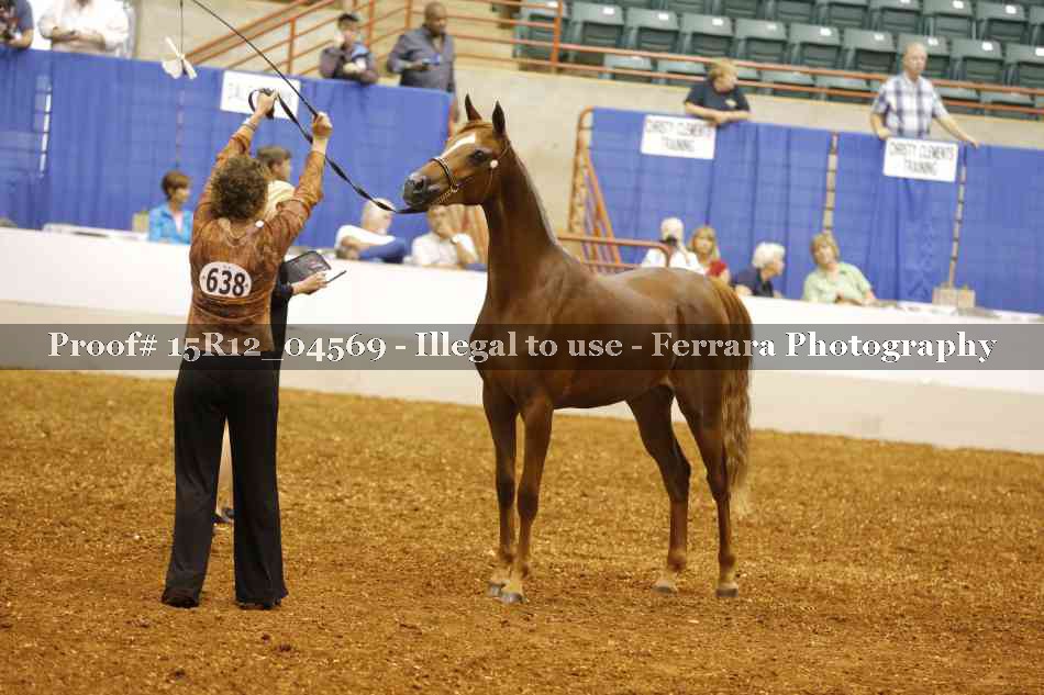 Proof Number 15R12_04569