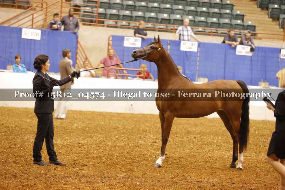 Proof Number 15R12_04574