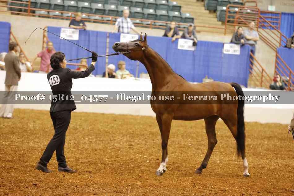 Proof Number 15R12_04577