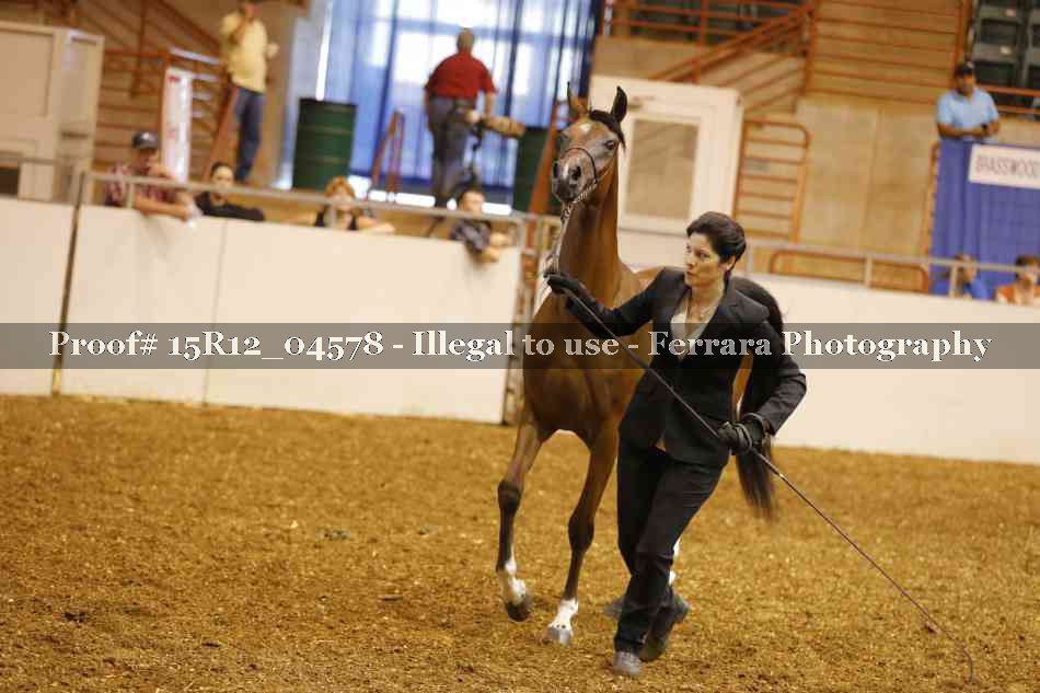 Proof Number 15R12_04578