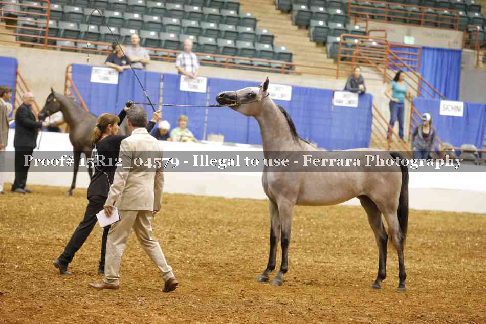 Proof Number 15R12_04579
