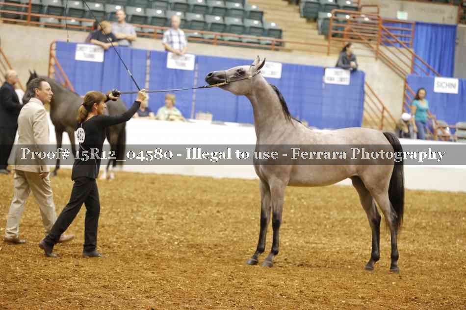 Proof Number 15R12_04580
