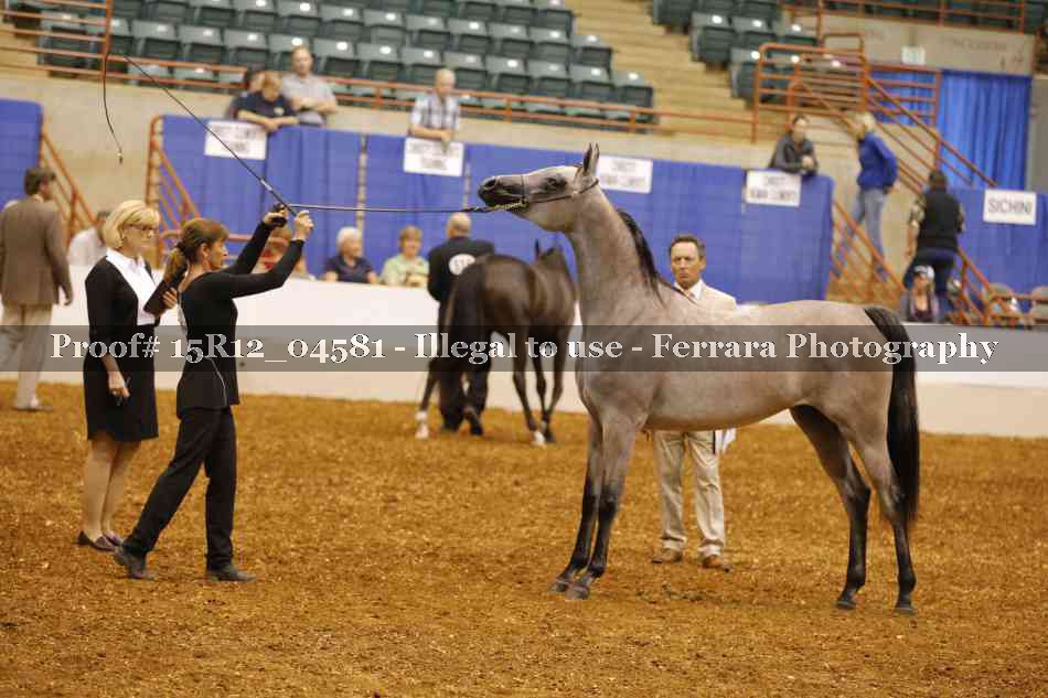 Proof Number 15R12_04581