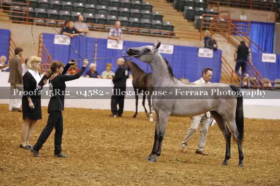 Proof Number 15R12_04582