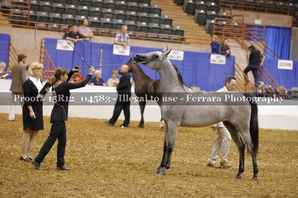 Proof Number 15R12_04583