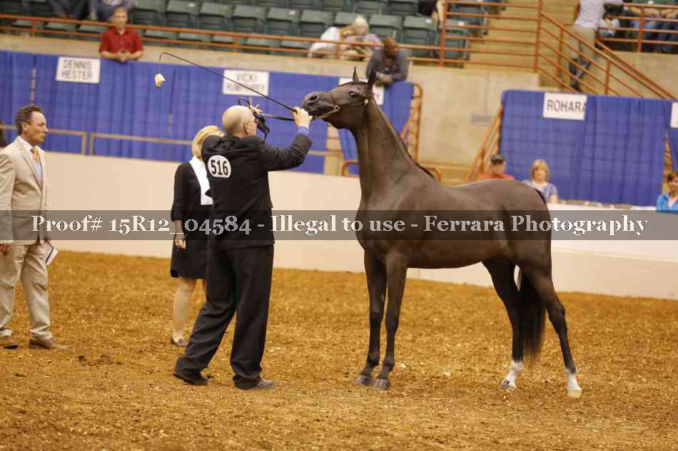 Proof Number 15R12_04584