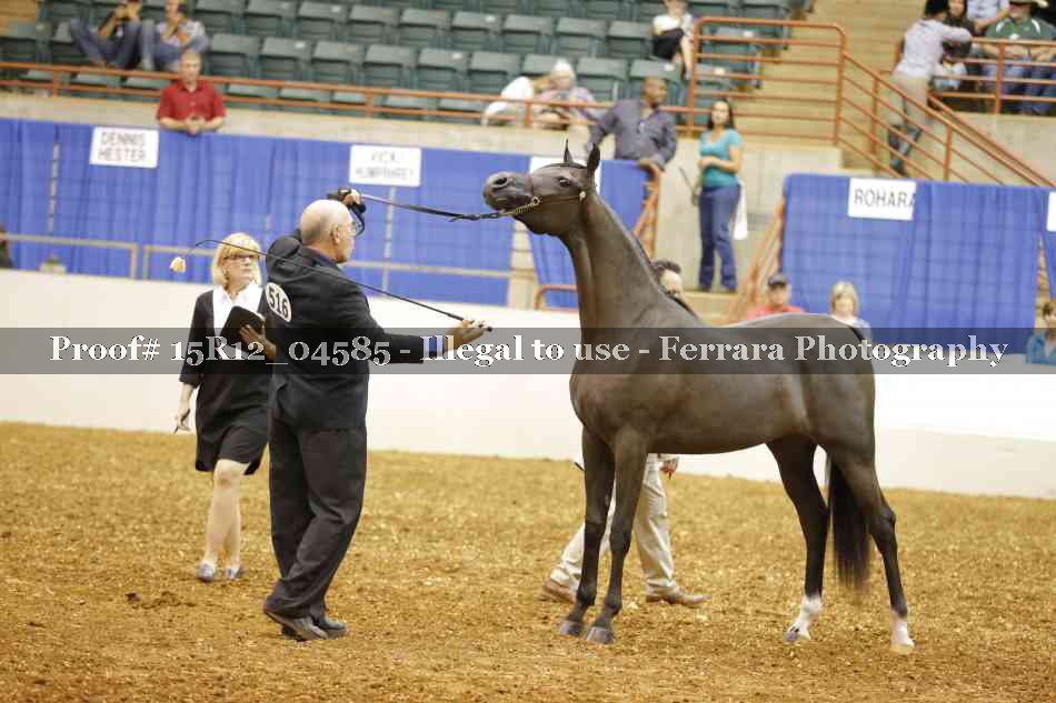Proof Number 15R12_04585
