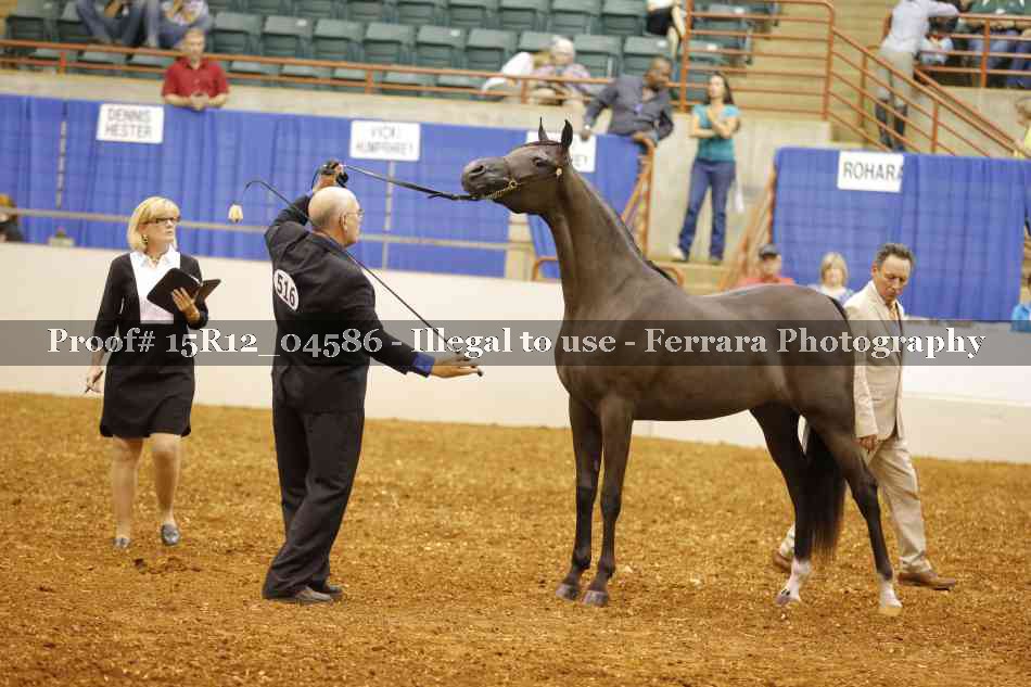 Proof Number 15R12_04586