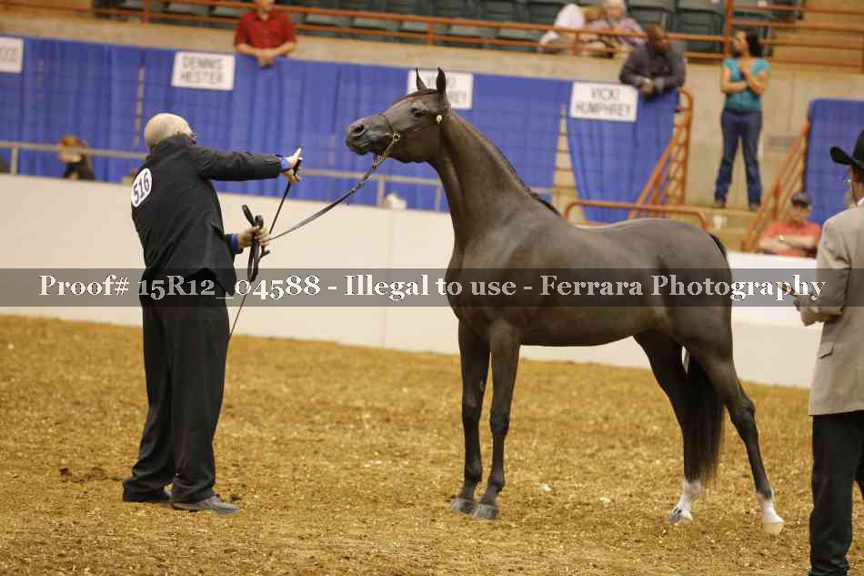 Proof Number 15R12_04588