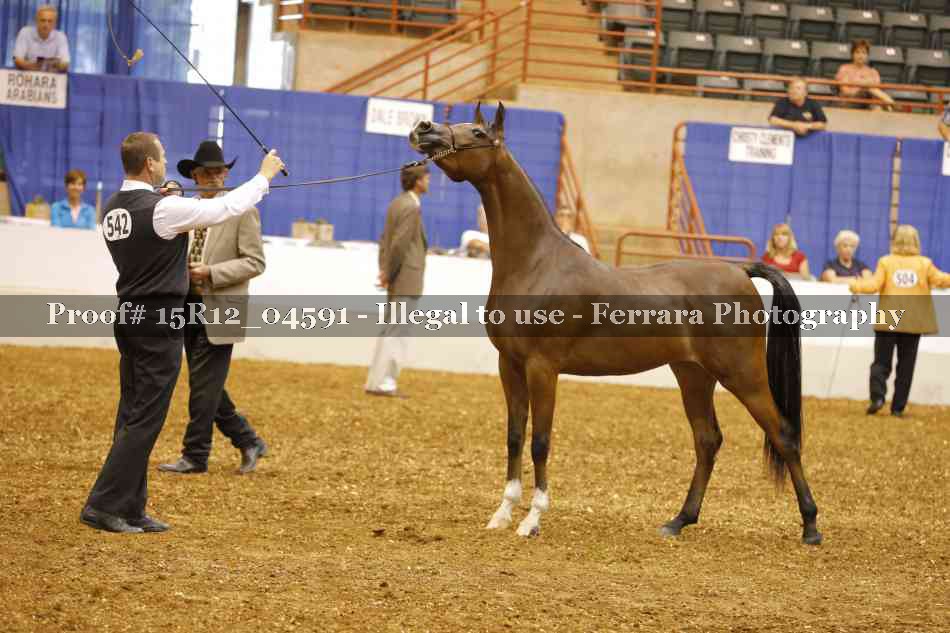 Proof Number 15R12_04591