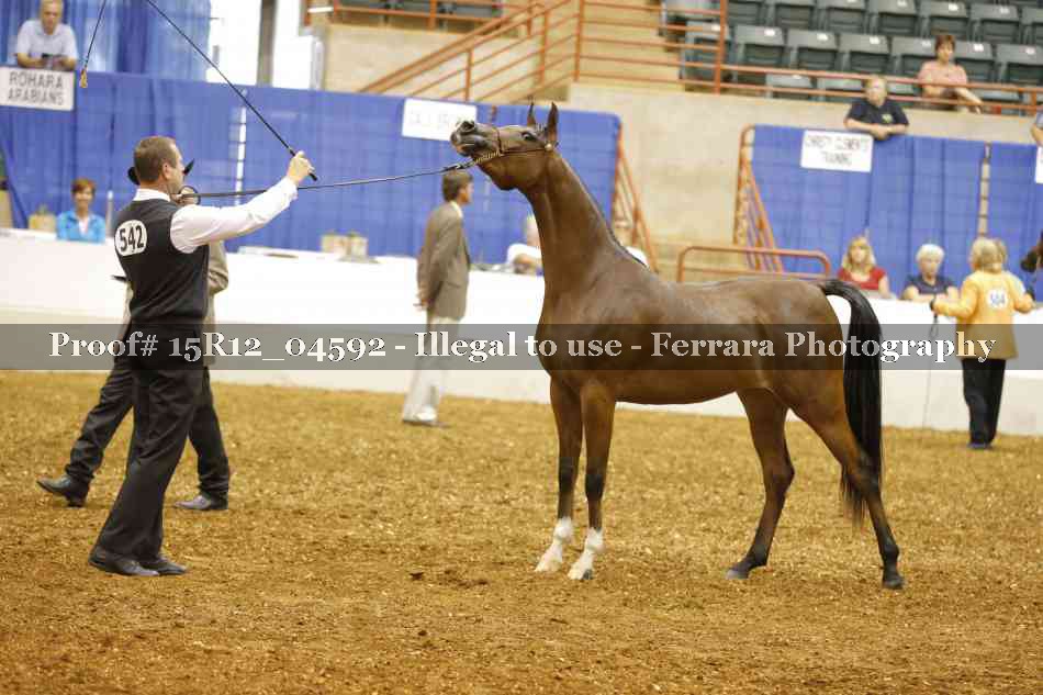 Proof Number 15R12_04592