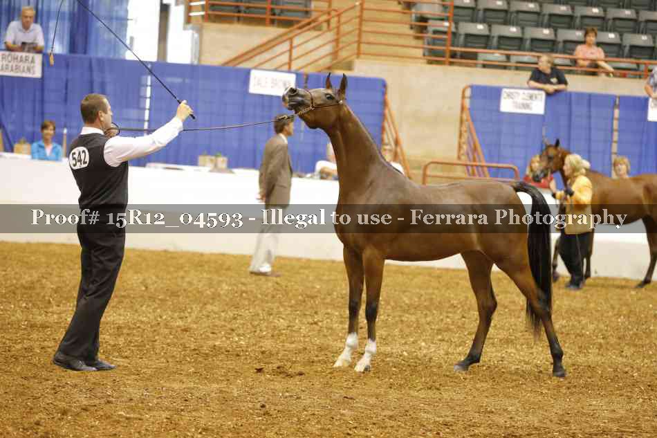 Proof Number 15R12_04593