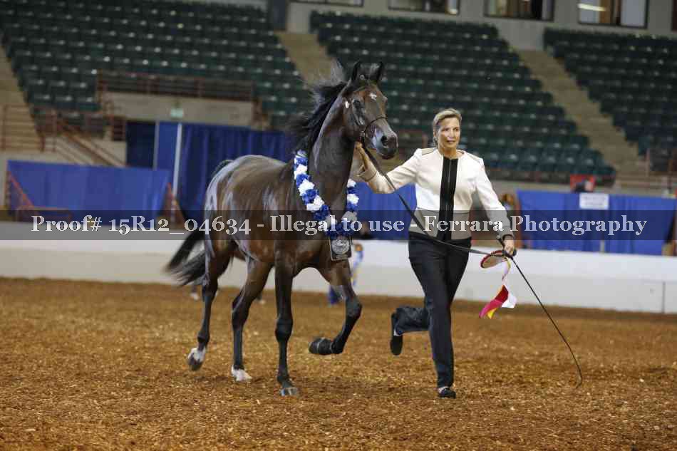 Proof Number 15R12_04634