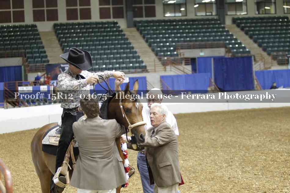 Proof Number 15R12_04675