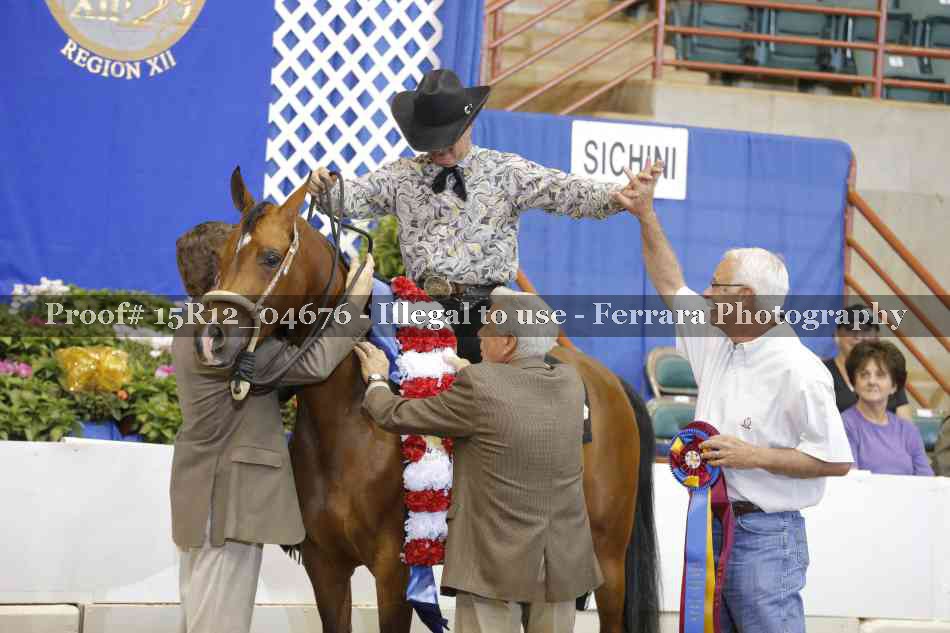Proof Number 15R12_04676