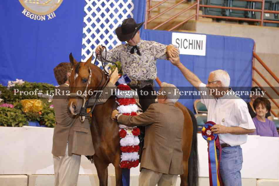 Proof Number 15R12_04677