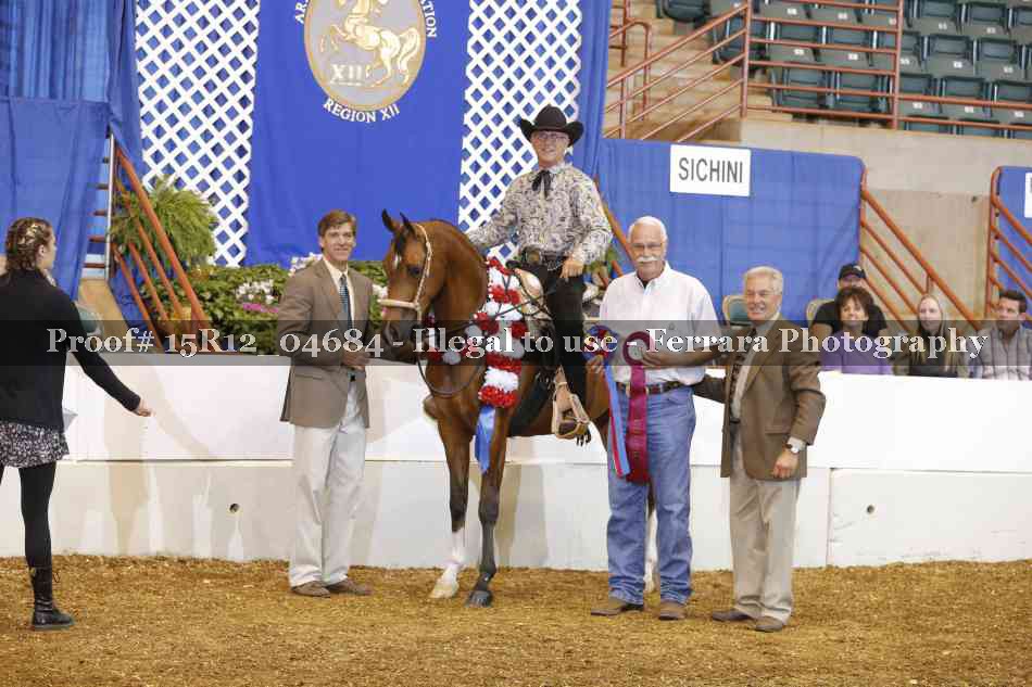 Proof Number 15R12_04684