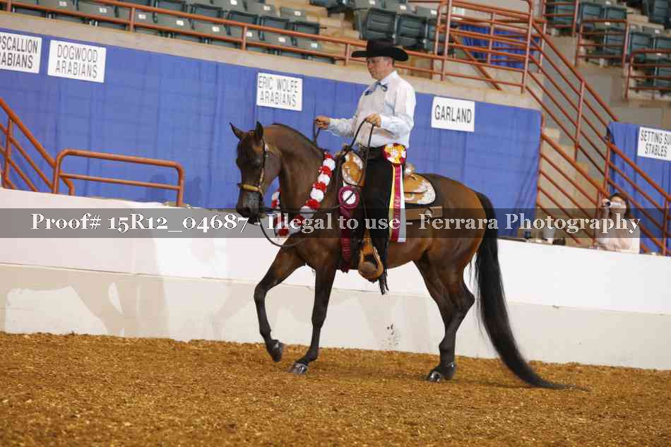 Proof Number 15R12_04687