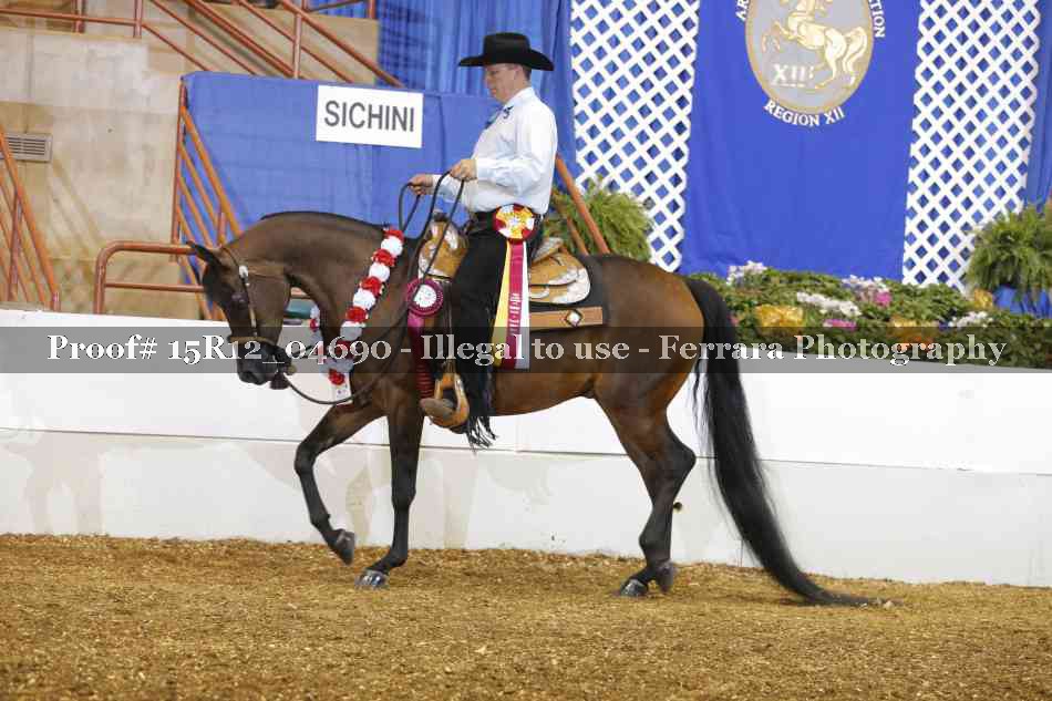Proof Number 15R12_04690