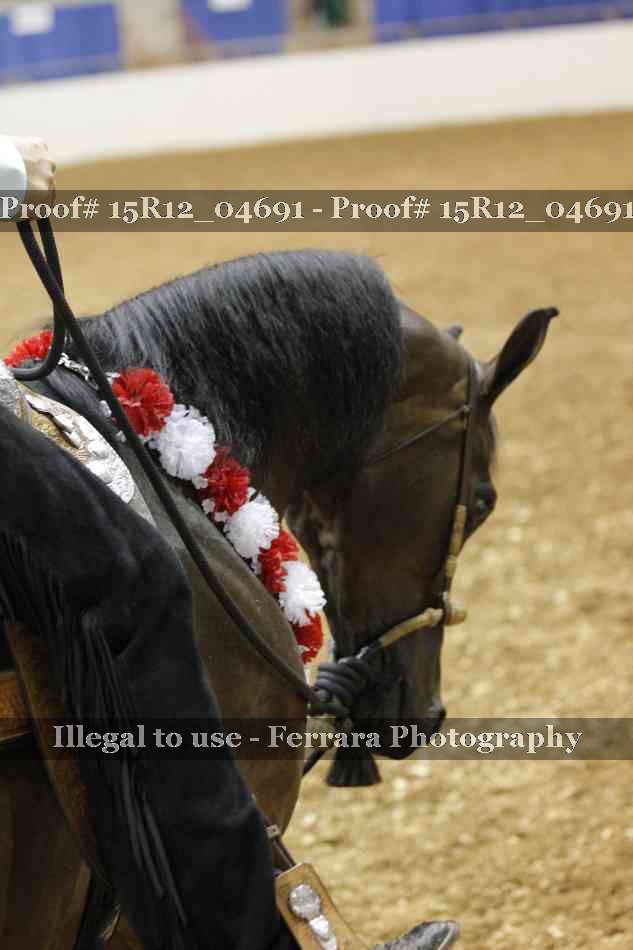 Proof Number 15R12_04691