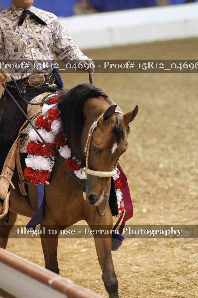Proof Number 15R12_04696
